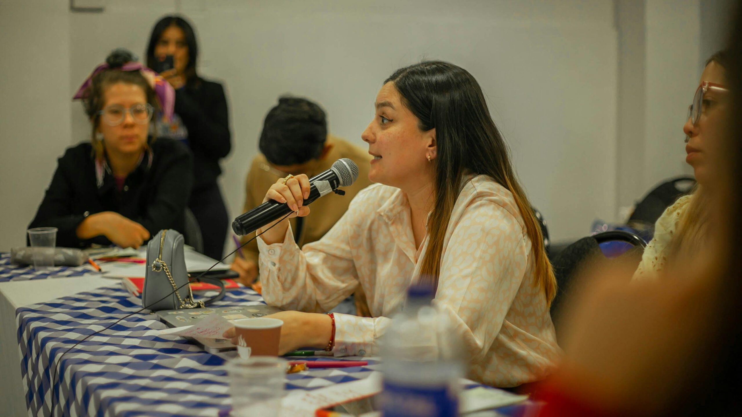 Civic Education